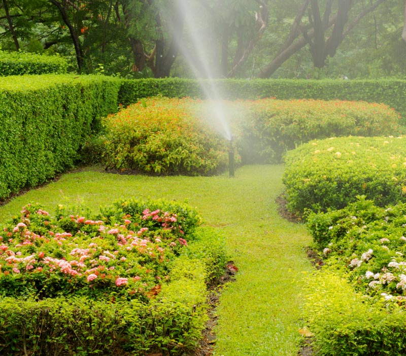 Irrigation Services in Denver & Aurora, CO