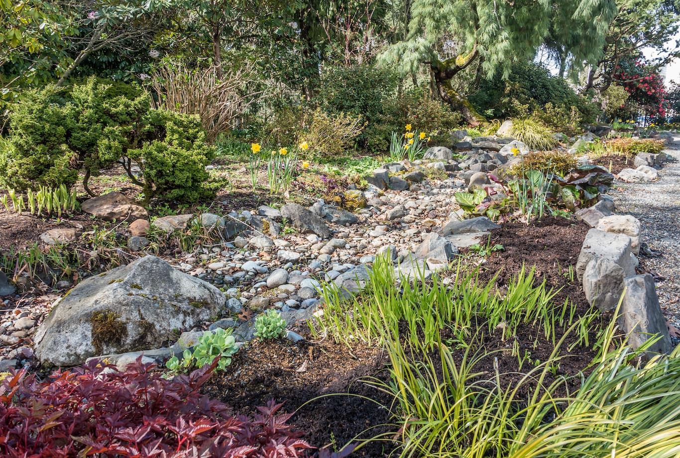A View Of A Dry Stream Bed And Flowers In Spring.