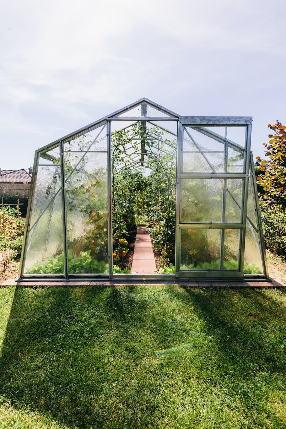 Modern Greenhouse services by Blue Sky
