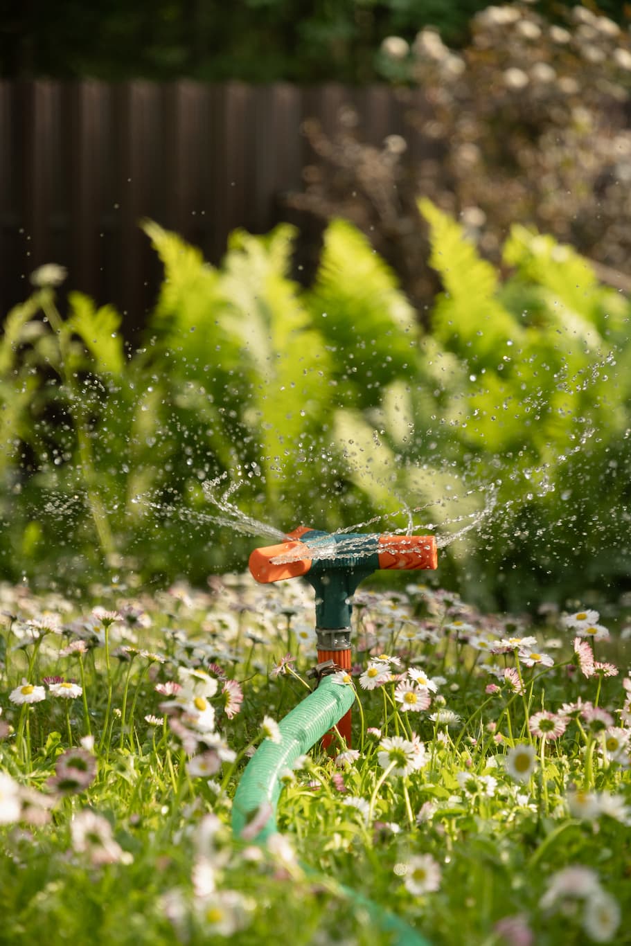 Backyard Sprinkler with beautiful plants blooming