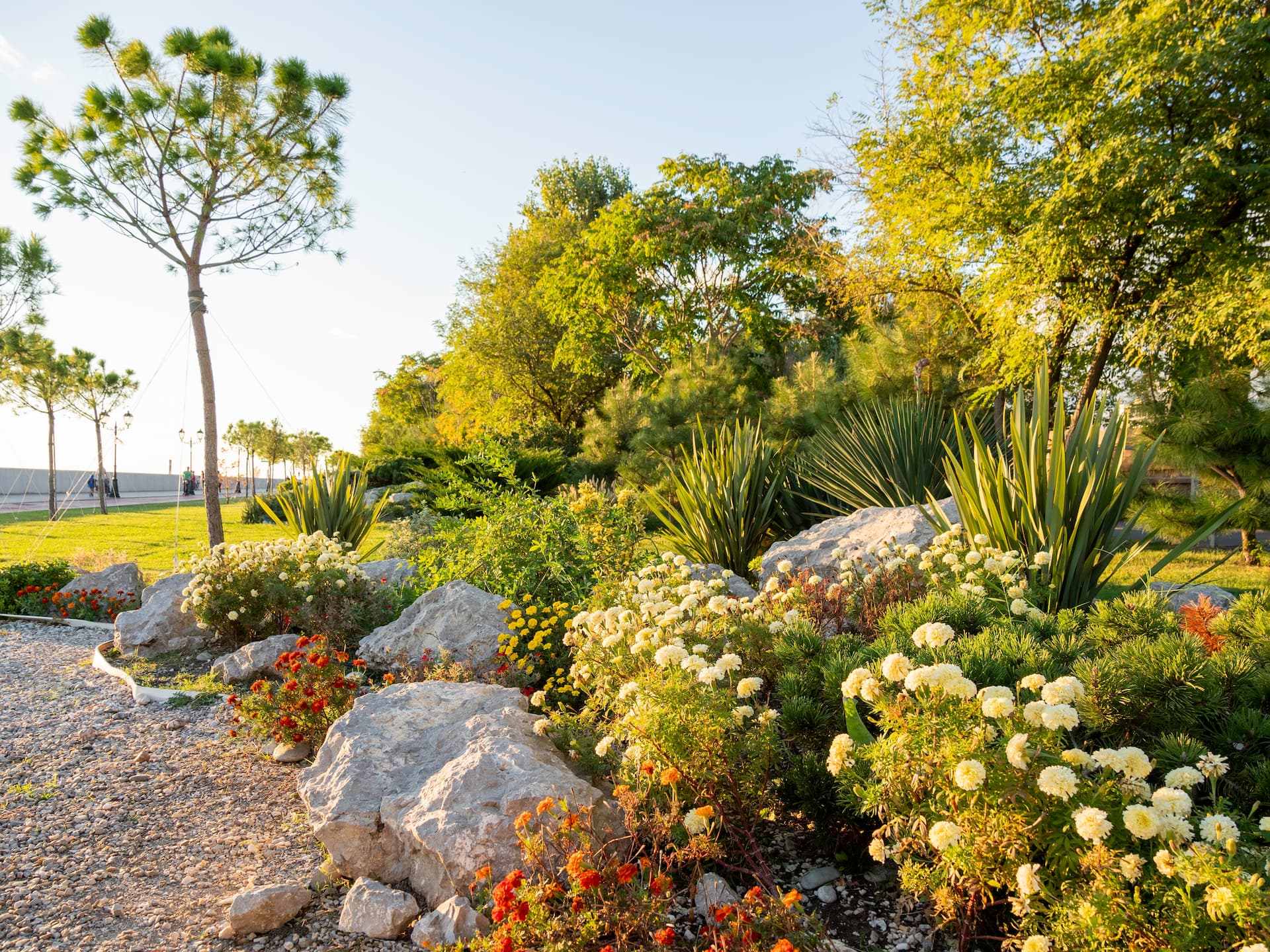 luxury xeriscape view done by Blue Sky